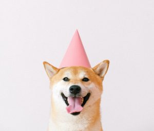 Japanese Happy Birthday Song